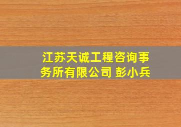 江苏天诚工程咨询事务所有限公司 彭小兵